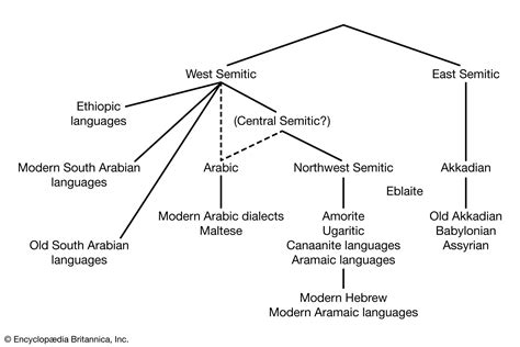 derive 뜻: 언어의 유래와 의미의 확장