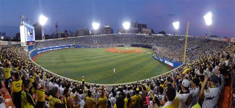 横浜スタジアム天気予報 - 雲の上で野球を見る夢